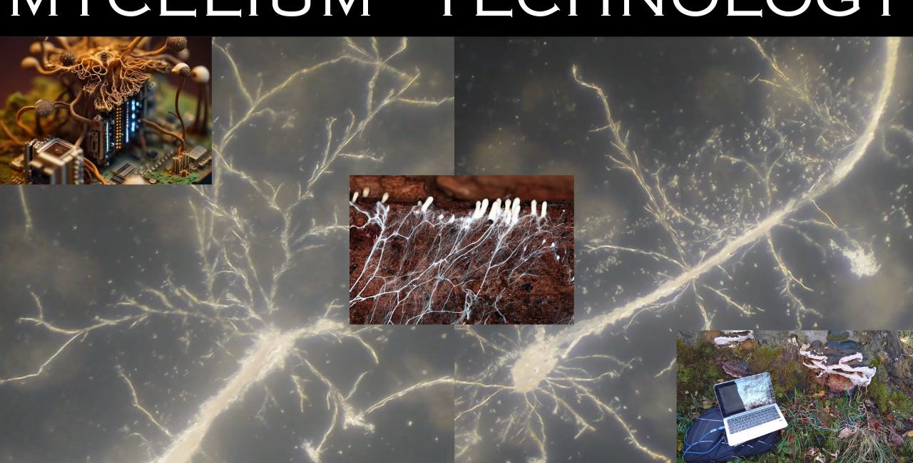 FUNGUS ON TAP