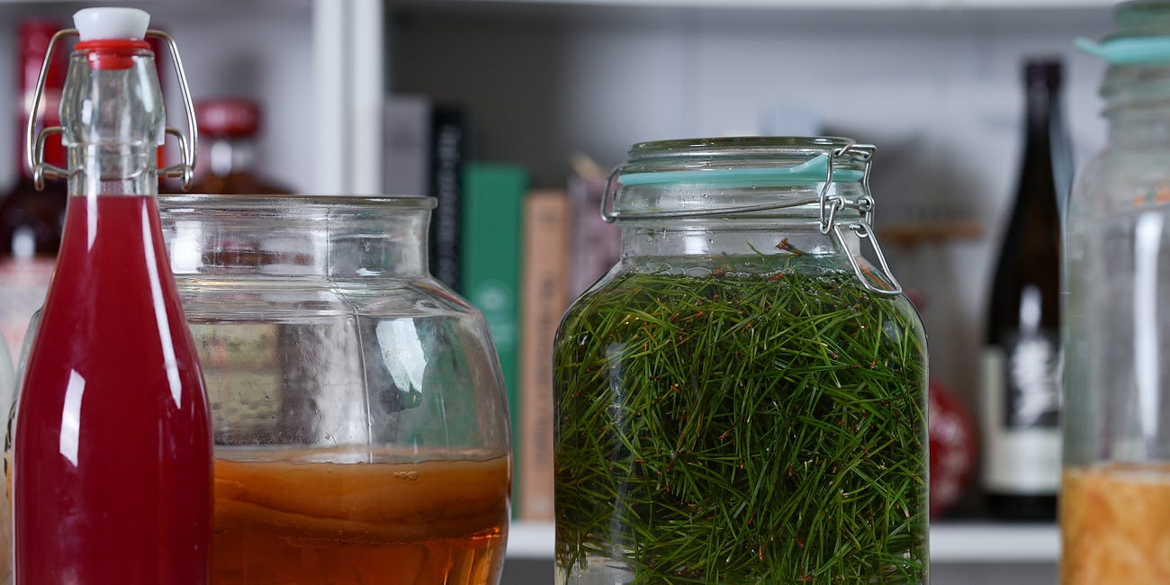 Fermented Pine Needle Soda: A Wild Forest Brew