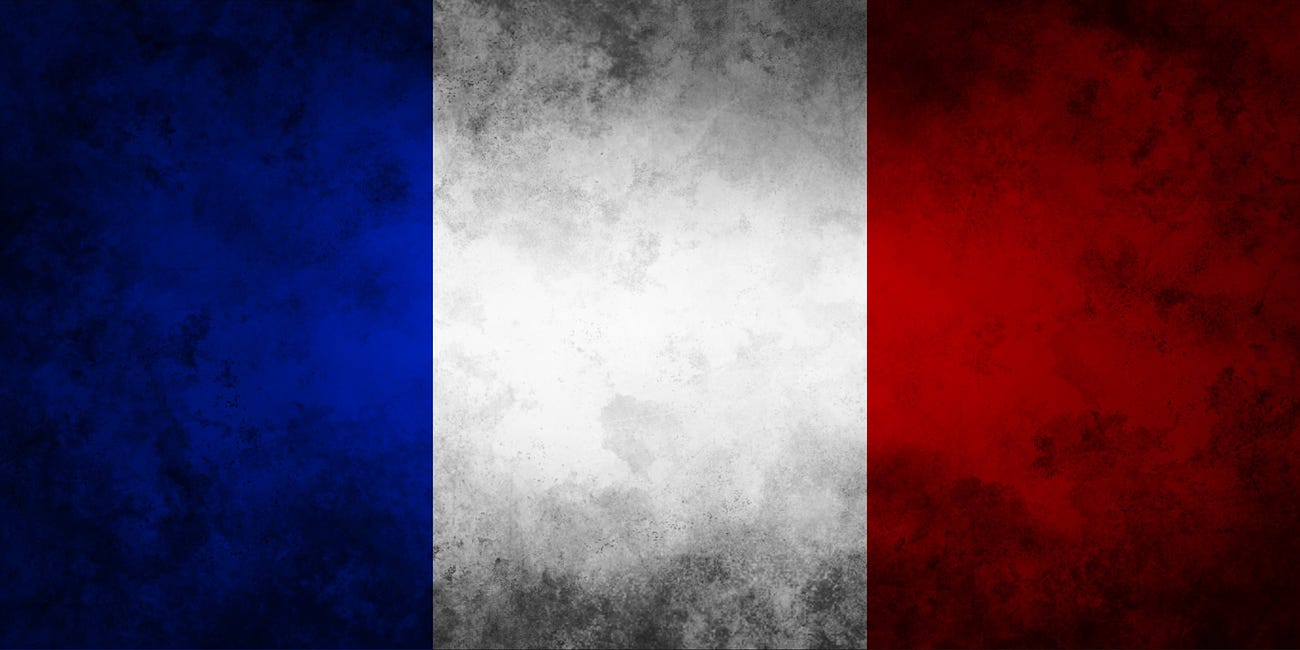 FRANCE'S VIOLENCE: A WELL-NEEDED CLASH WITH THE REALITY FOR THE WHITE RACE