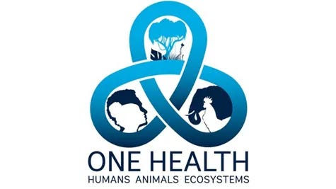 The World Health Organization doesn't care about your health