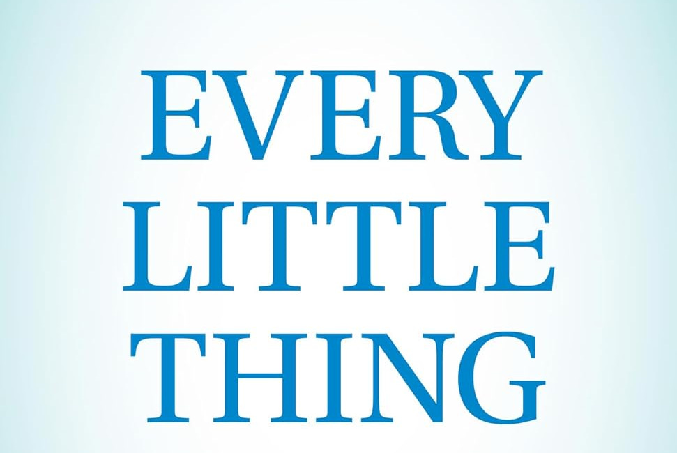 Excerpt: Every Little Thing by Janice Landry
