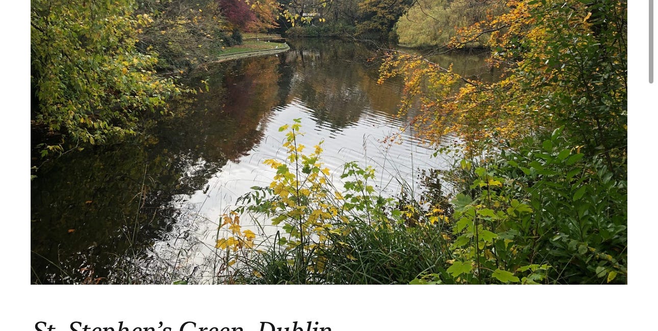 dublin and the severed branch: where Phoebe transformed me from materialist to spiritual