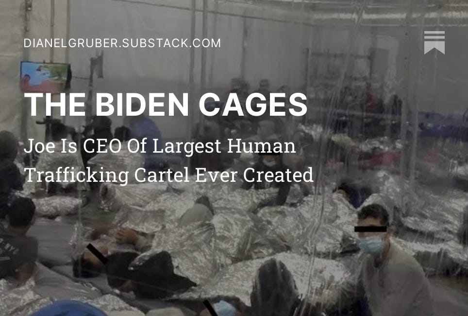 THE BIDEN CAGES