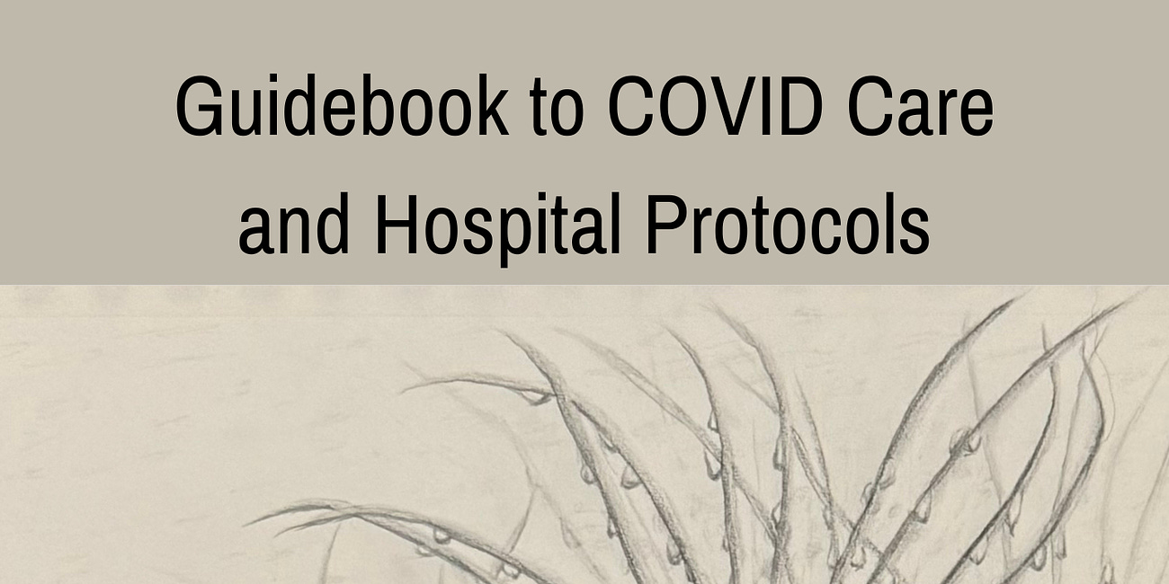 Guidebook to COVID Care and Hospital Protocols: Updated for January, 2024