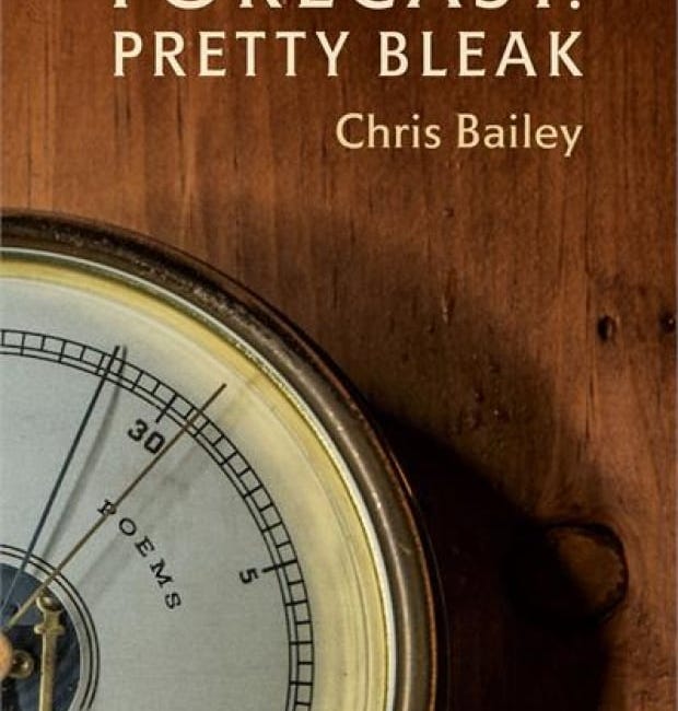 Forecast: Pretty Bleak by Chris Bailey