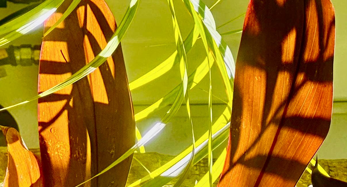 What Happens When You Zoom In