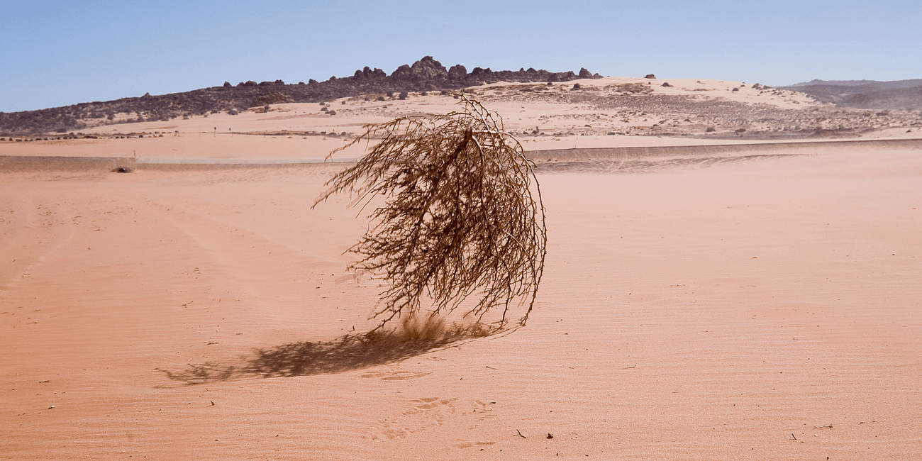 Climate, Net Zero and Other Words You Must Stop Using