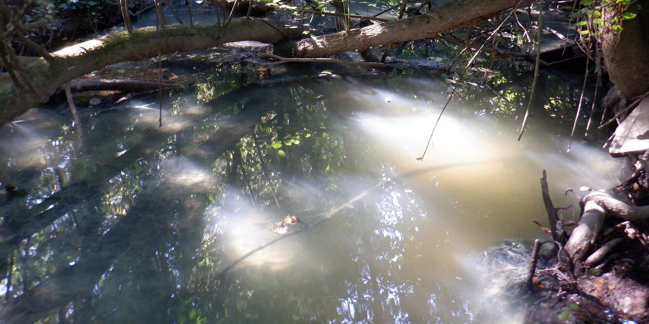 A broken stream, a 'dirty drain'. Is there any hope for the Glasheen? 