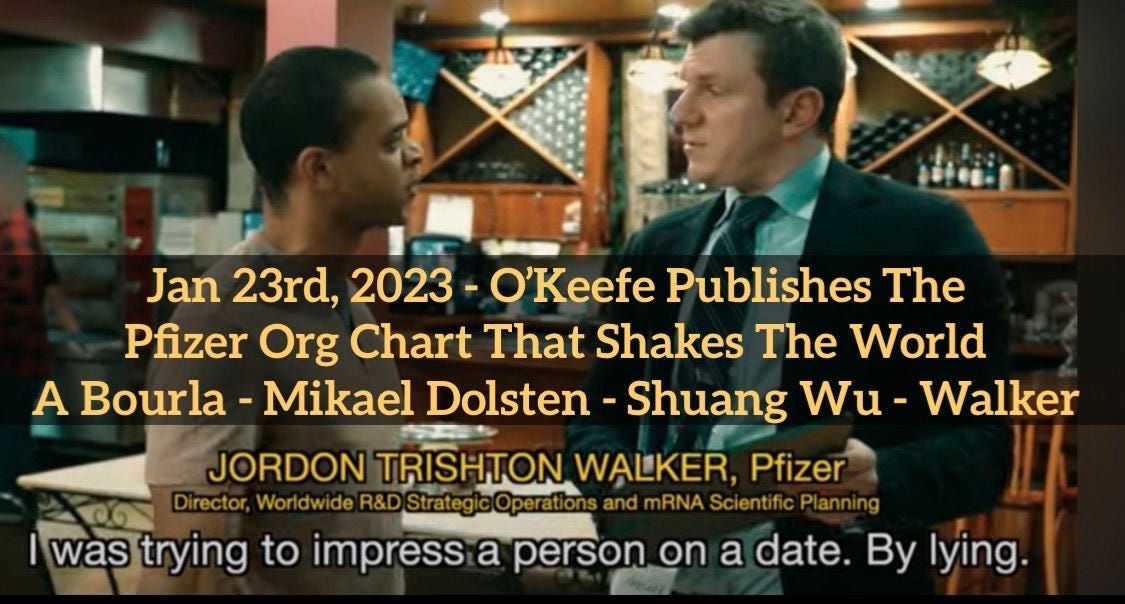 James O'Keefe's Pfizer Org Chart Unlocks History - If Only He Would Do A Deep Dive On It