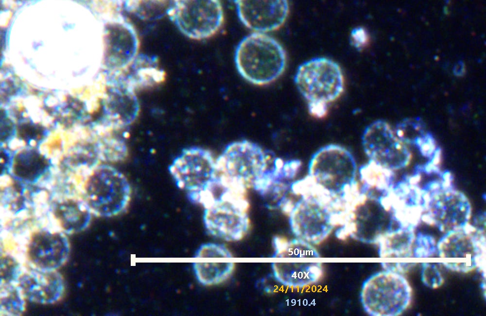 Our blood is full of synthetic material. See incredible HD video of particles and synthetic structures ! 