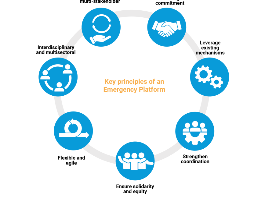 The criticised Emergency Platform mechanism has been removed from the Pact for the Future