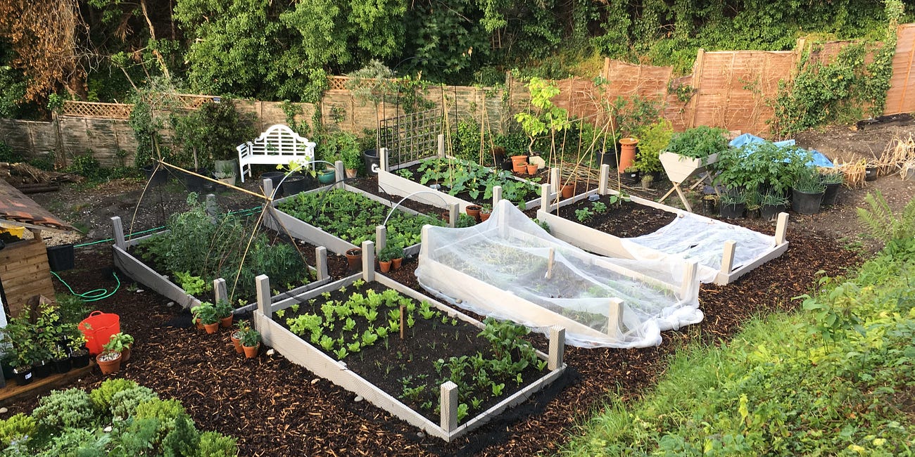Cornerstones of my kitchen garden No.1