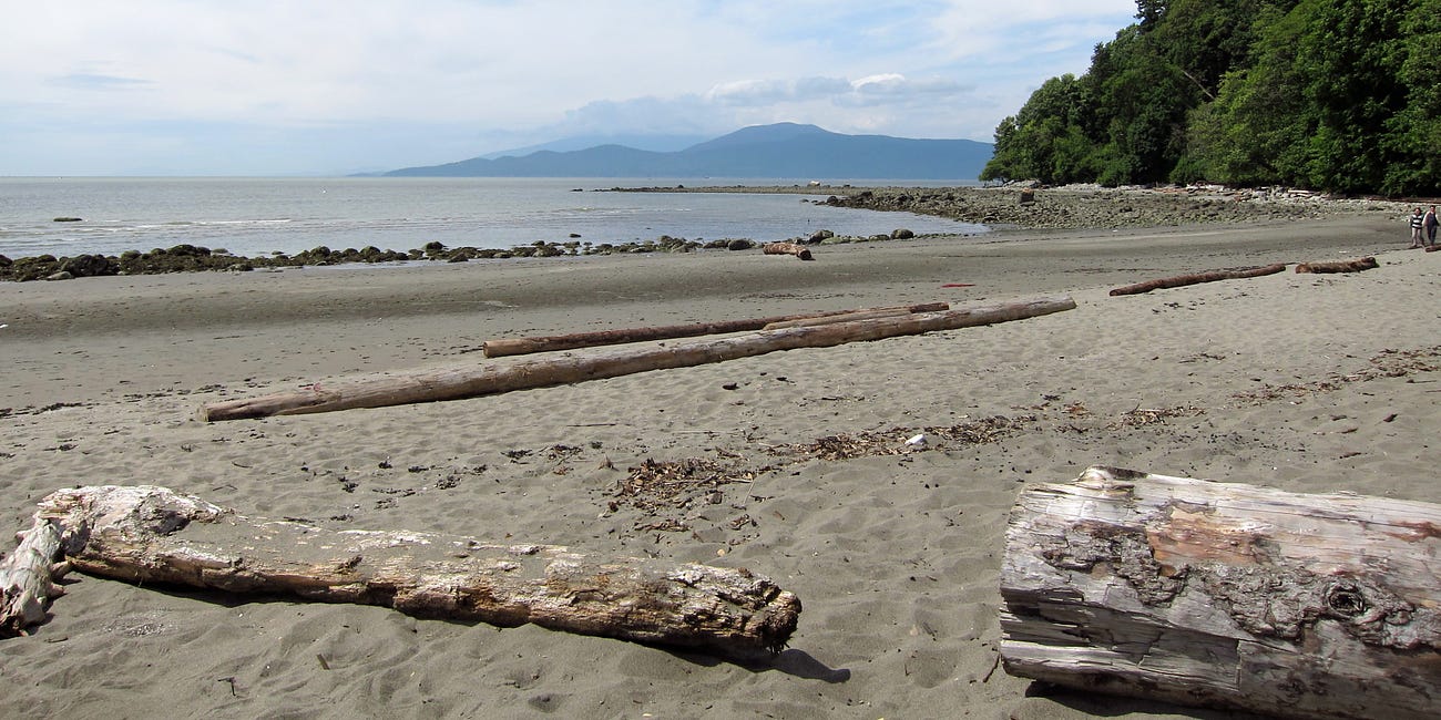 Nudists rally for privacy at Wreck Beach