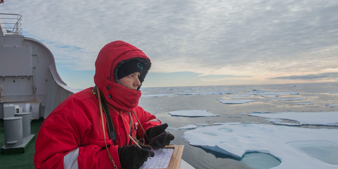 “No to Food. Yes to Microplastics.” Arctic Wildlife Forced to Welcome Environmental Pollution