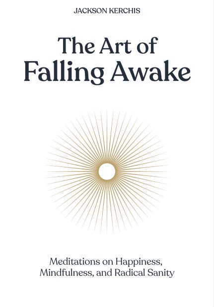 The Art of Falling Awake: Meditations on Mindfulness, Happiness, and Radical Sanity