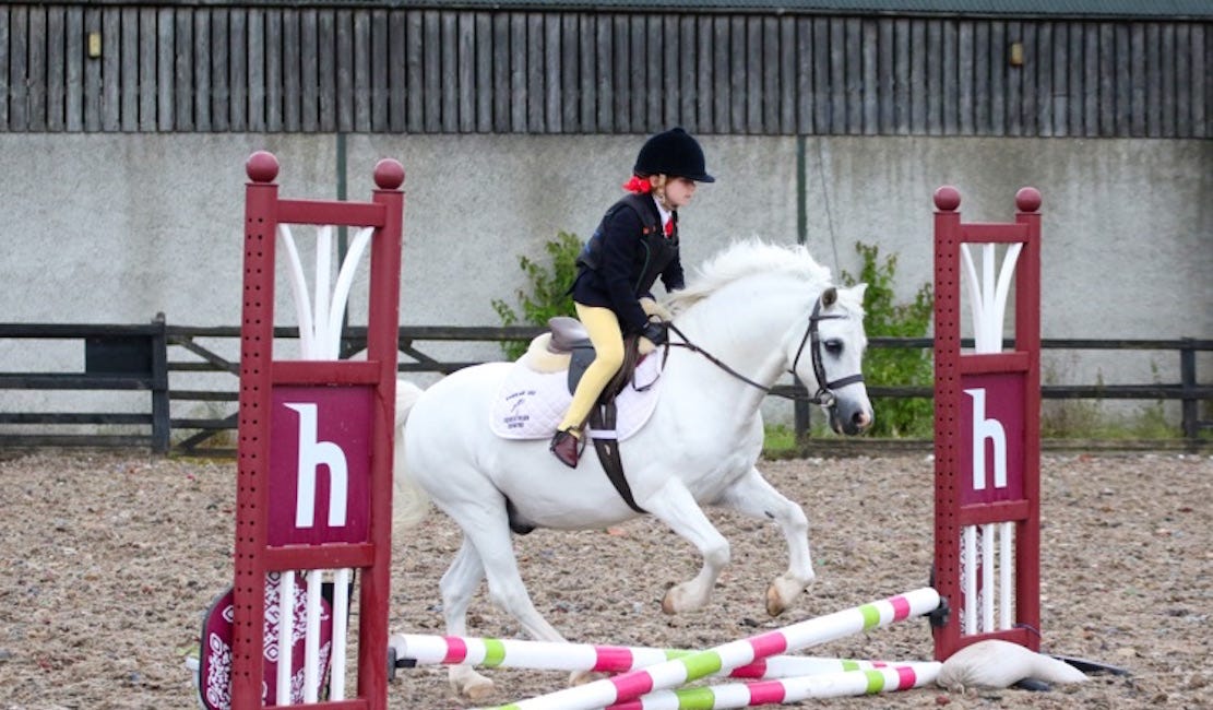 Mid-week show jumping gets underway at Knockagh View