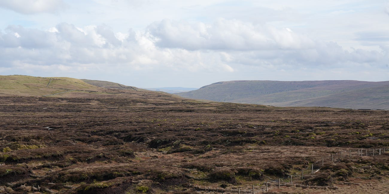 Peat blanket bog restoration in the Yorkshire uplands 