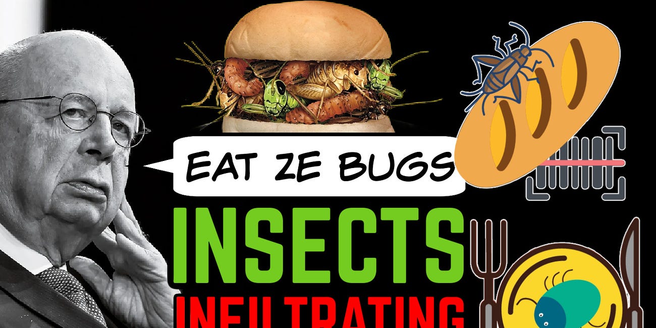 Insects Hidden in Food 🦗United Nations Sustainable Development Goal: Eat Ze Bugs