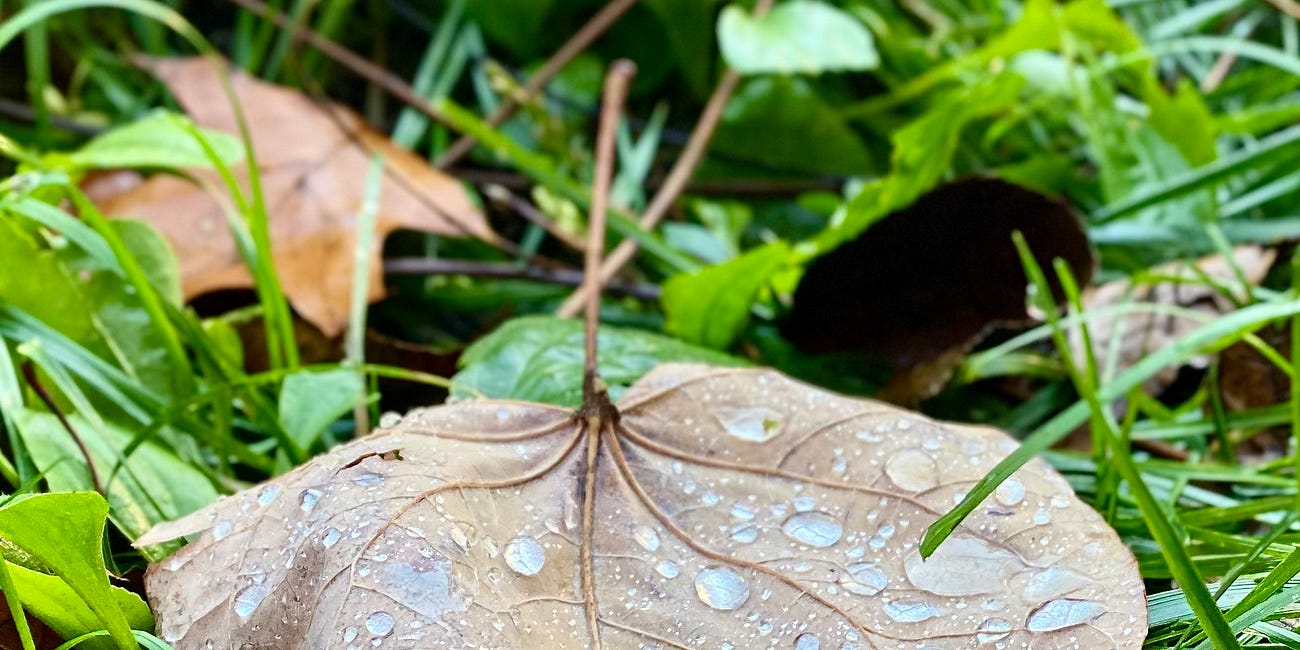 Challenging Holidays, Gratitude, and Resources