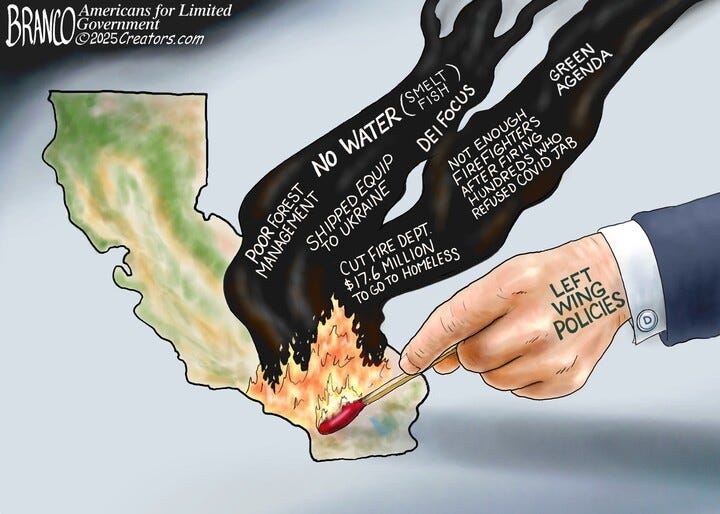 The LA Fires were the result of Globalist Policies and not Climate Change