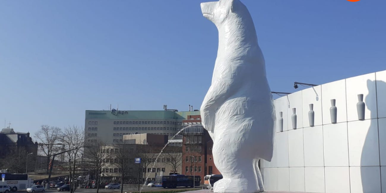 This Polar Bear is Pissing on Groningen