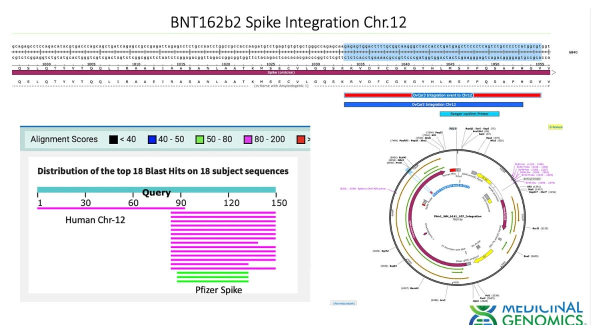 Vaccine targeted qPCR of Cancer Cell Lines treated with BNT162b2