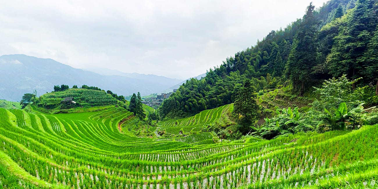 From the Soil (I): Understanding China