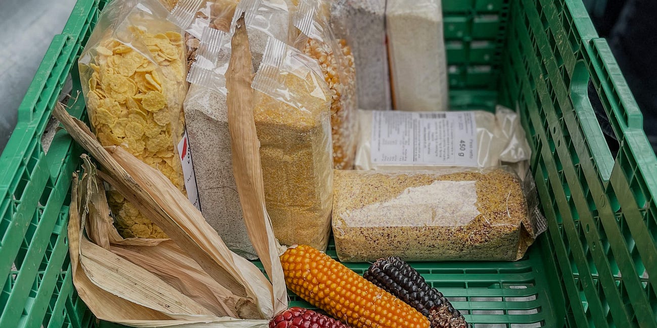 Mit fast vergessenen Mais-Sorten wird die beste Tessiner Polenta gekocht