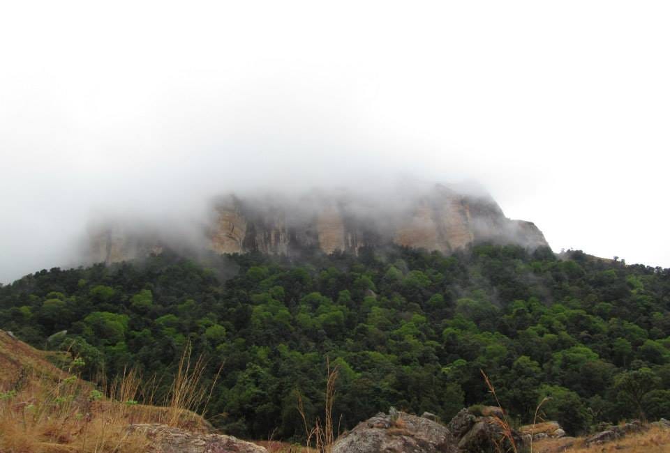 SAFARI - Gullible Travels - South Africa