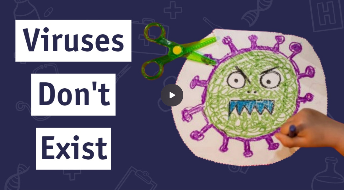 Dr. Yeadon Comments on "Viruses Don't Exist and Why It Matters" by Dr. Sam Bailey