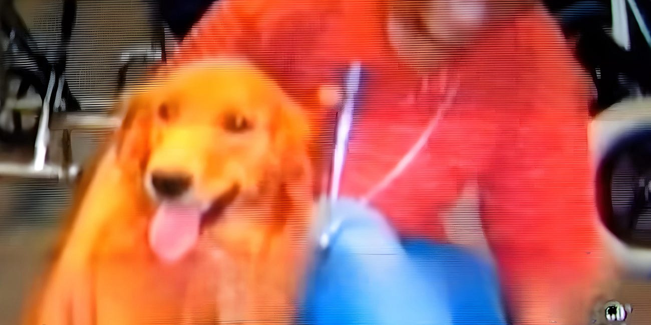 Revisiting Lynn Stucky’s Dog Genocide and Pets that Never Came Home