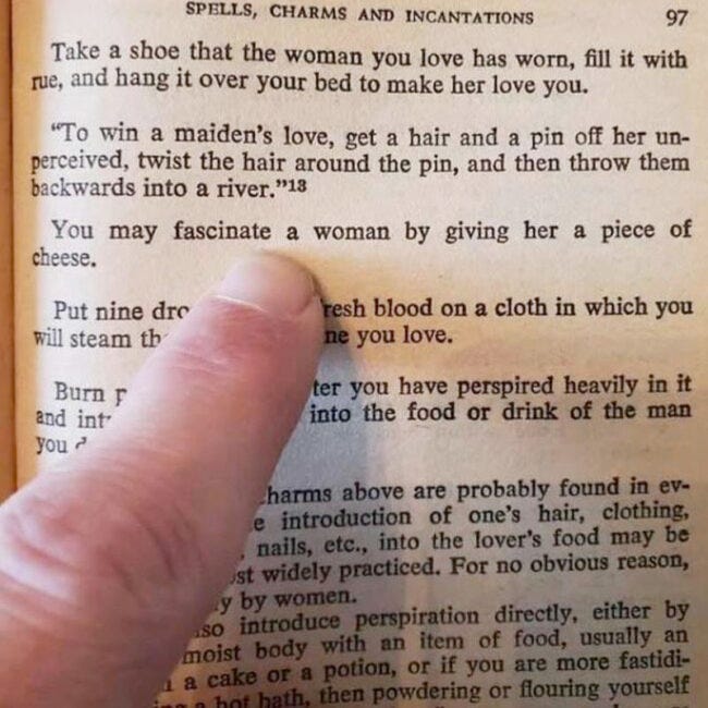 THE SCROLL: You May Fascinate A Woman By Giving Her A Piece Of Cheese