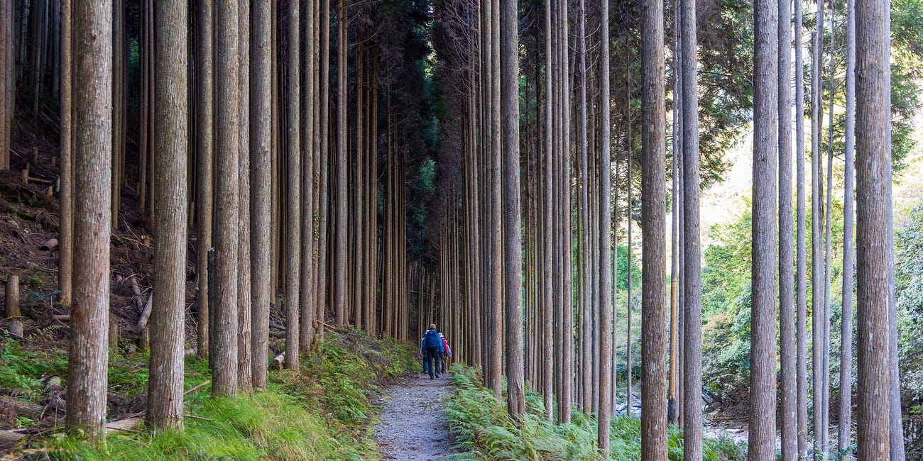 Hiking the Kyoto Trail: Day 5 - The End