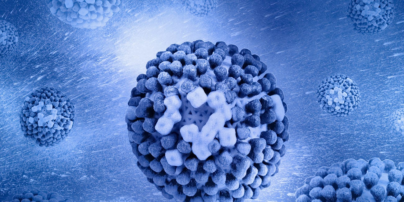 Everything You Need to Know About H5N1 Bird Flu
