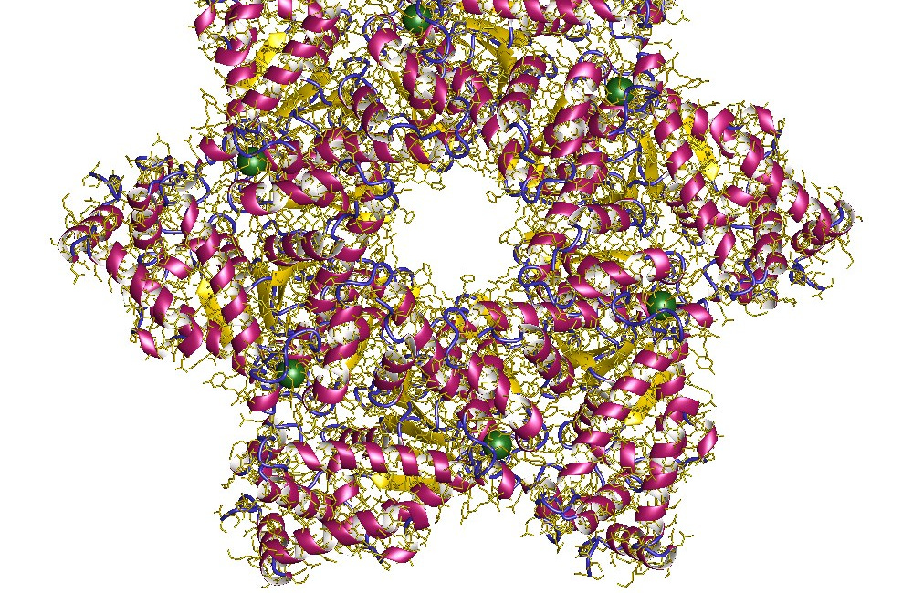 SV40 origin of replication in mammalian cells in absence of SV40 Large T-Antigen