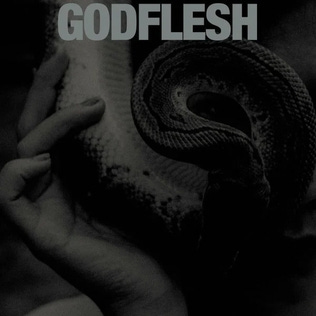 Godflesh - Purge 