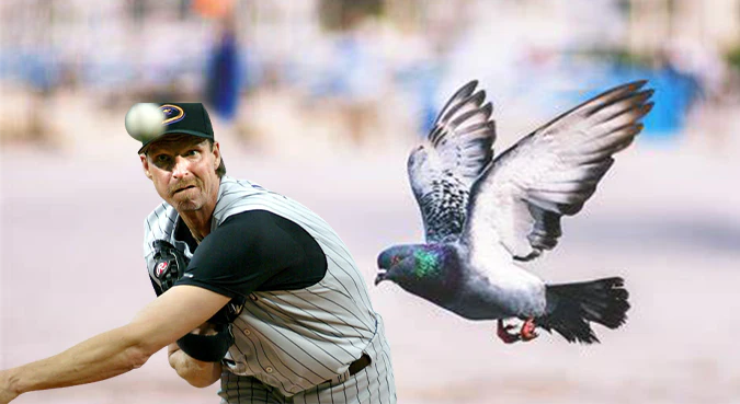 10 Memorable Pitch Interferences in MLB History
