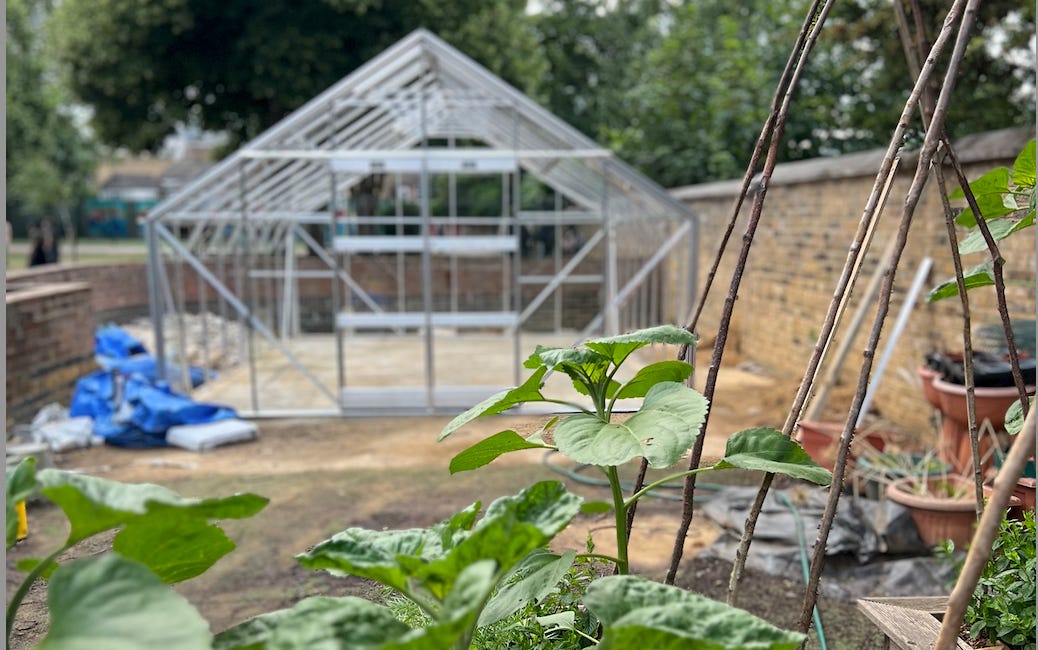 NOTES from. the garden // school greenhouse
