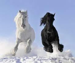 Coming At You Like A Dark Horse
