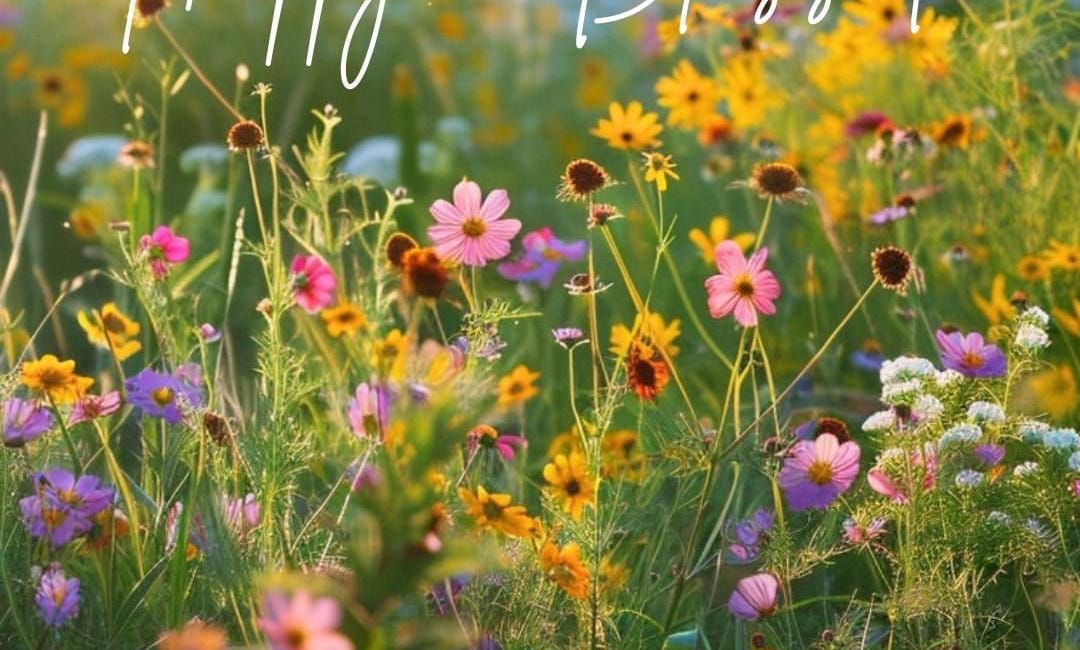 Happy and Blessed