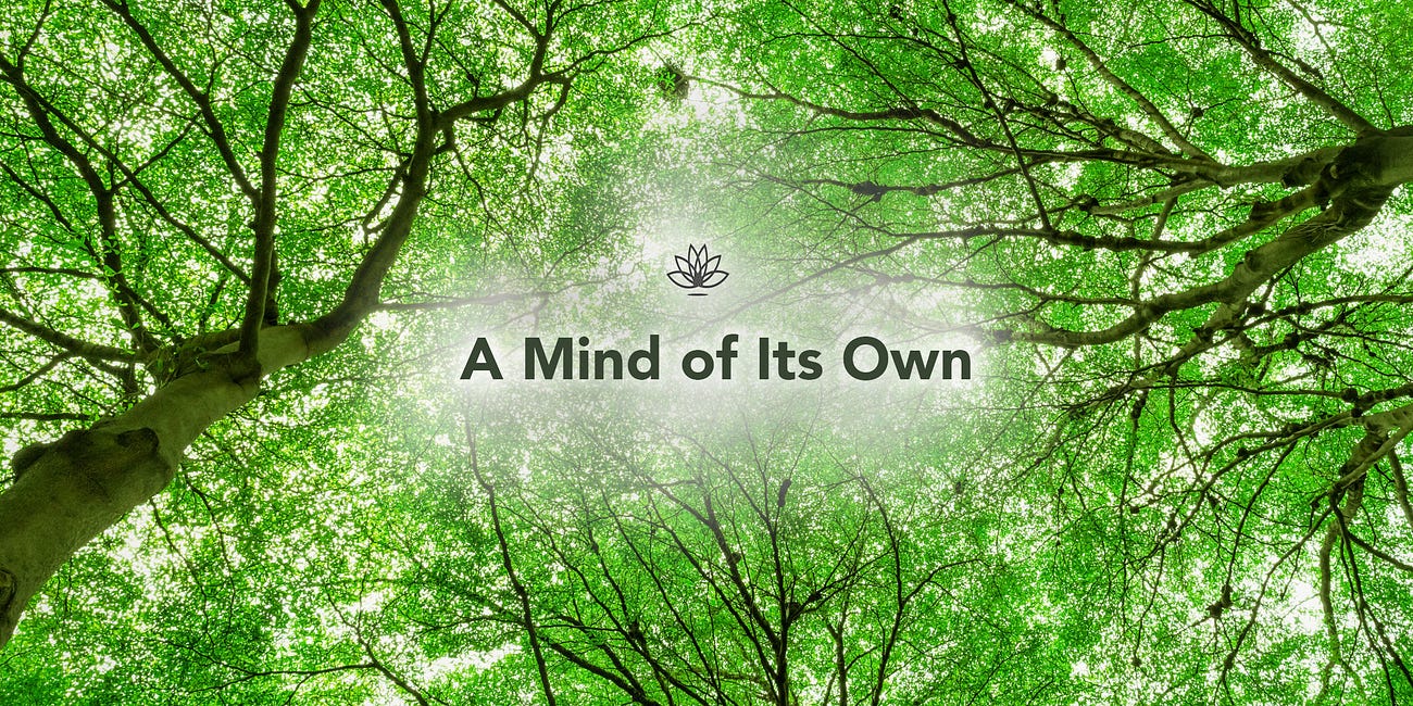 A Mind of Its Own
