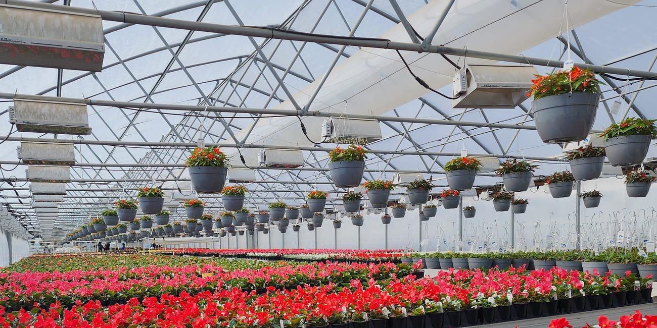 Nurturing Growth: The Symbiotic Relationship Between Horticulture & Energy Incentives