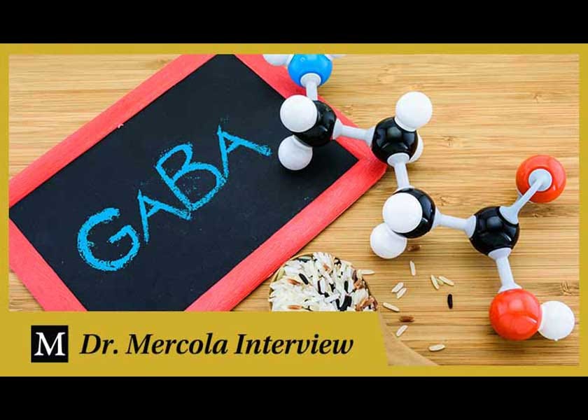 The Role of GABA in Health and Well-Being