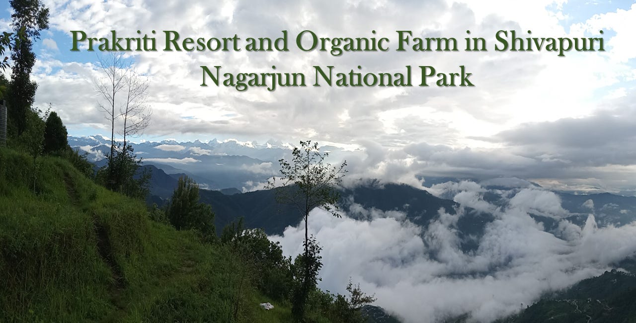Prakriti Resort and Organic Farm 