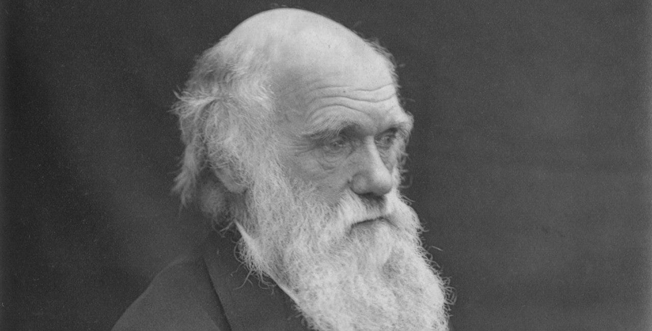 Darwin and the Discovery of Evolution