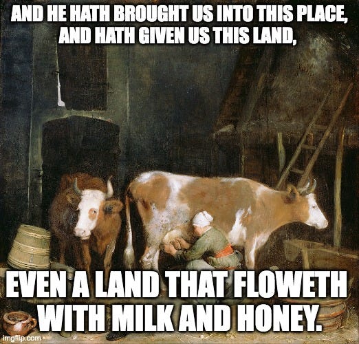This Land is My Land