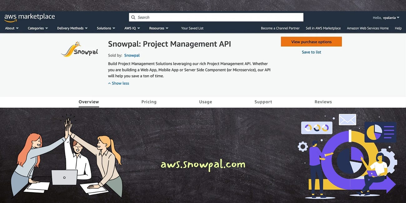 Snowpal: Project Management API (SaaS and License)