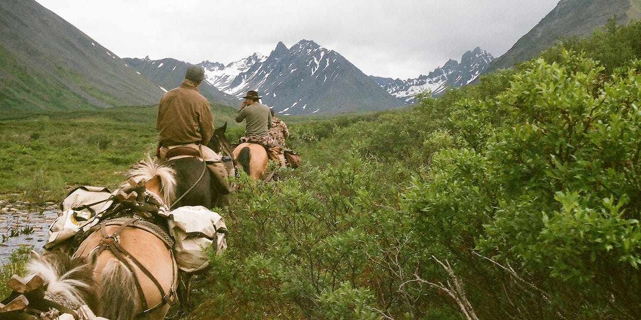 My First Alaskan Moose Packout