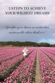 Wildest Dreams