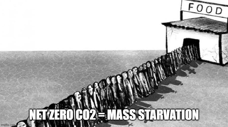 Net Zero CO2 = Mass Starvation